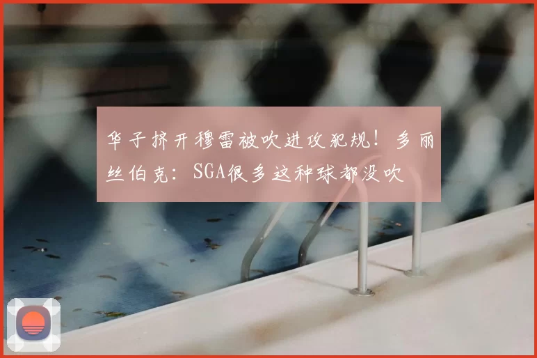 华子挤开穆雷被吹进攻犯规!多丽丝伯克:SGA很多这种球都没吹