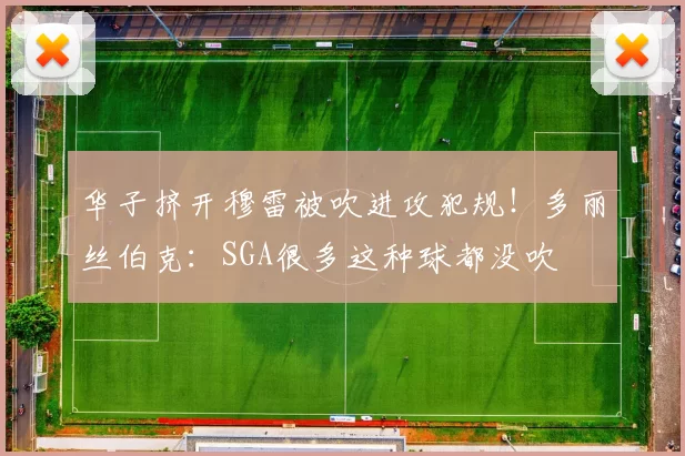华子挤开穆雷被吹进攻犯规!多丽丝伯克:SGA很多这种球都没吹
