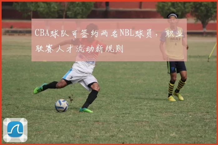 CBA球队可签约两名NBL球员，职业联赛人才流动新规则