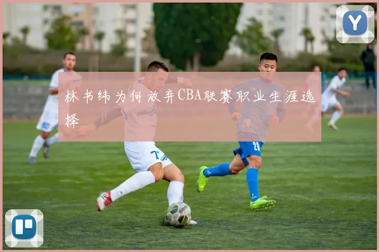 林书纬为何放弃CBA联赛职业生涯选择