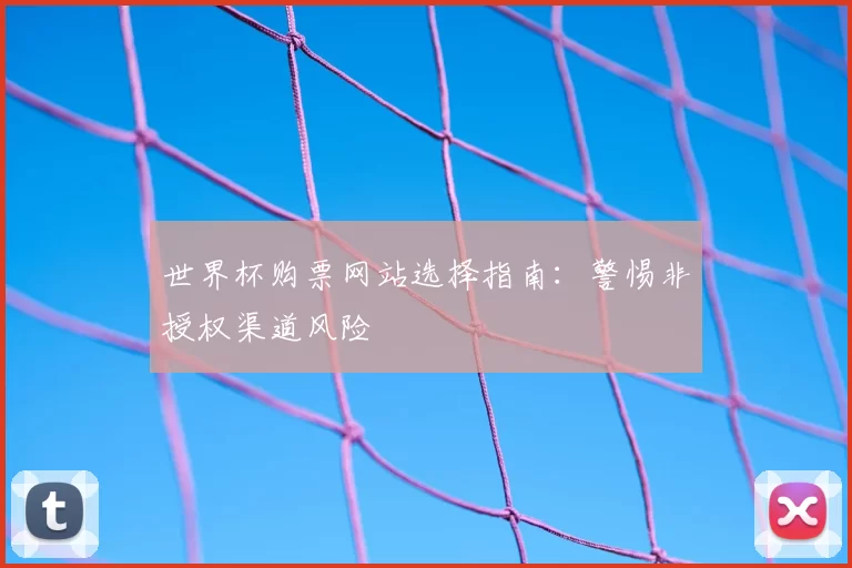 世界杯购票网站选择指南:警惕非授权渠道风险