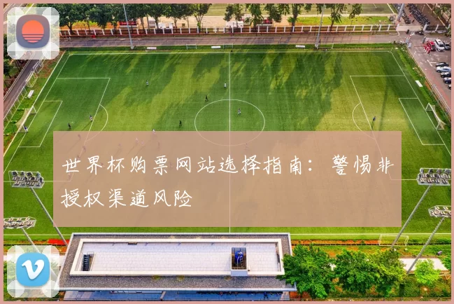 世界杯购票网站选择指南：警惕非授权渠道风险