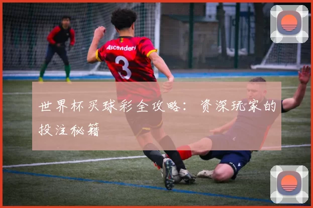 世界杯买球彩全攻略:资深玩家的投注秘籍