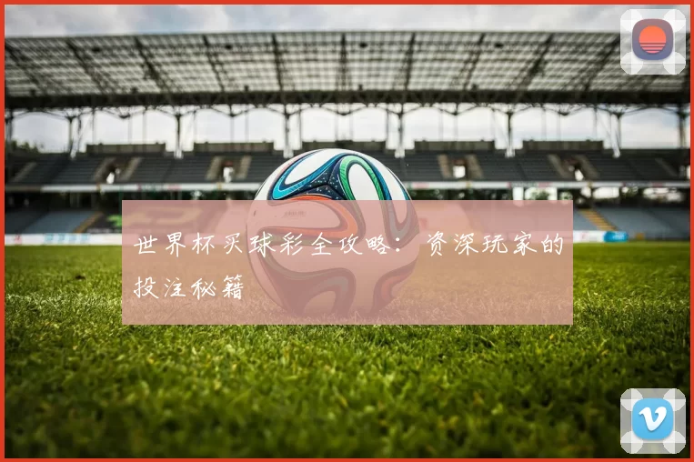 世界杯买球彩全攻略:资深玩家的投注秘籍