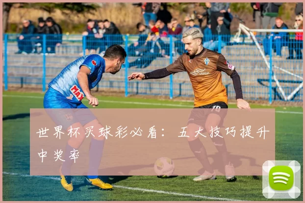 世界杯买球彩必看:五大技巧提升中奖率