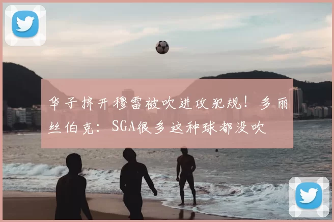 华子挤开穆雷被吹进攻犯规!多丽丝伯克:SGA很多这种球都没吹