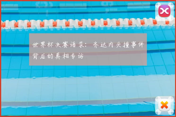 世界杯决赛语录：齐达内头撞事件背后的真相专访