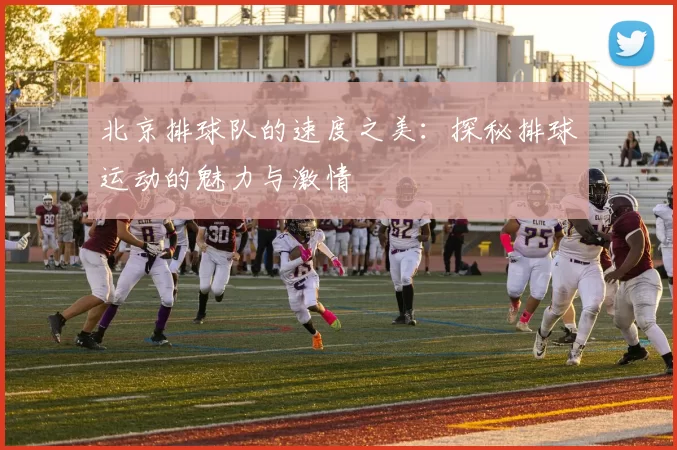 北京排球队的速度之美：探秘排球运动的魅力与激情