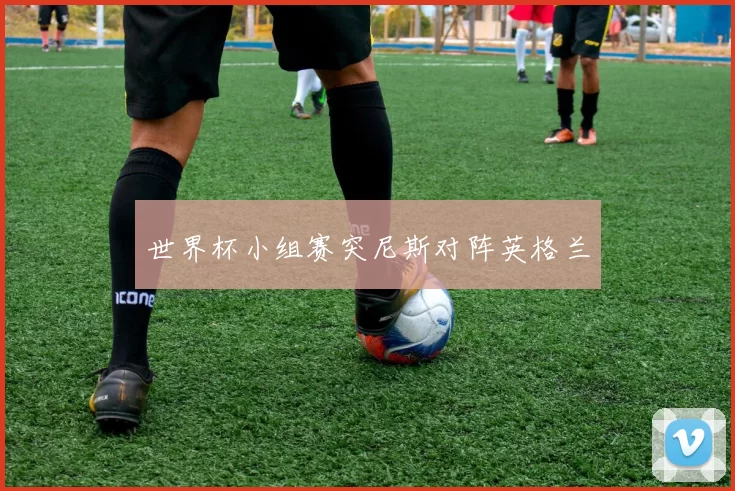 世界杯小组赛突尼斯对阵英格兰