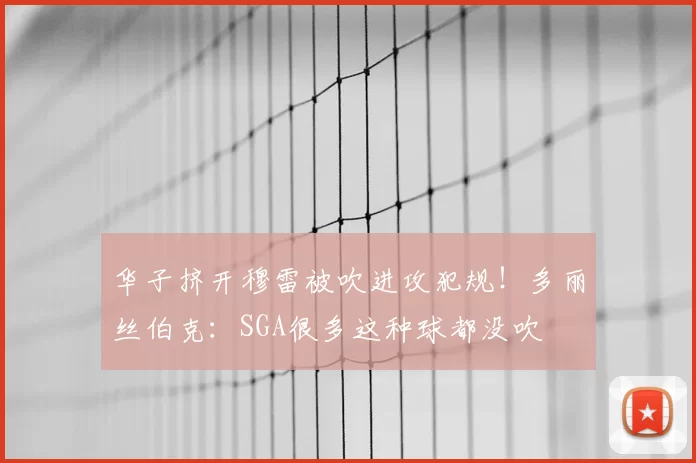 华子挤开穆雷被吹进攻犯规!多丽丝伯克:SGA很多这种球都没吹