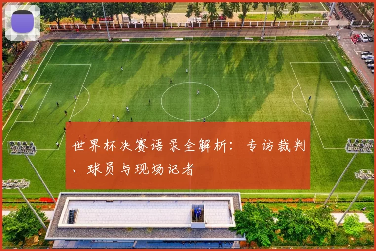 世界杯决赛语录全解析:专访裁判、球员与现场记者