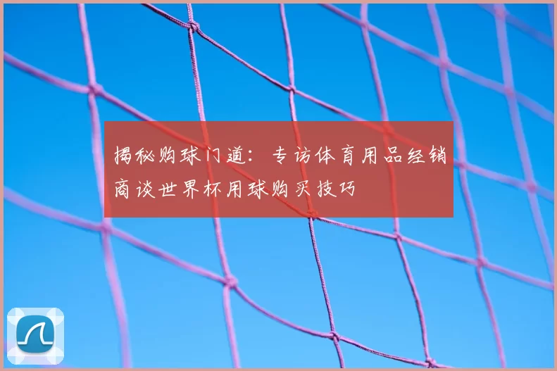 揭秘购球门道:专访体育用品经销商谈世界杯用球购买技巧