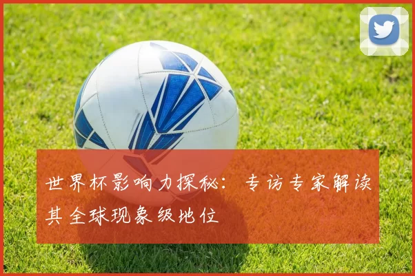 世界杯影响力探秘:专访专家解读其全球现象级地位